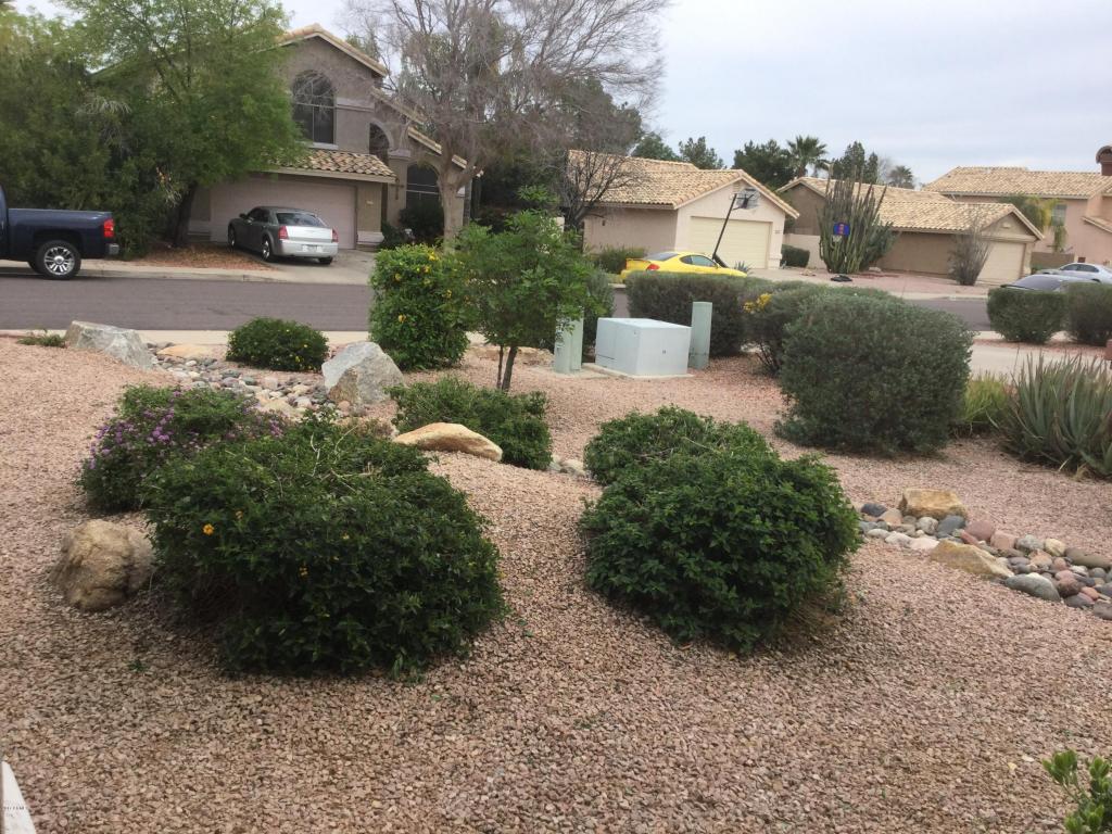 7313 E Medina Ave, Mesa, AZ 85209 photo 7