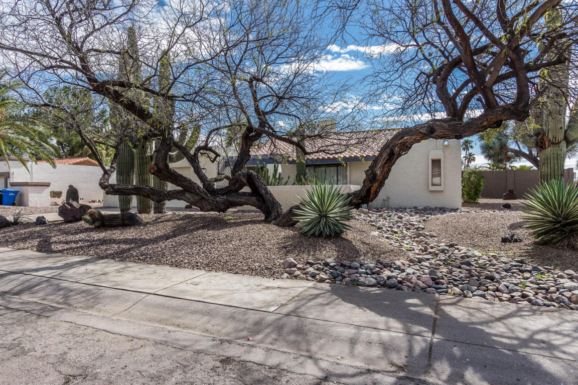 4401 E Hearn Rd, Phoenix, AZ 85032 photo 3