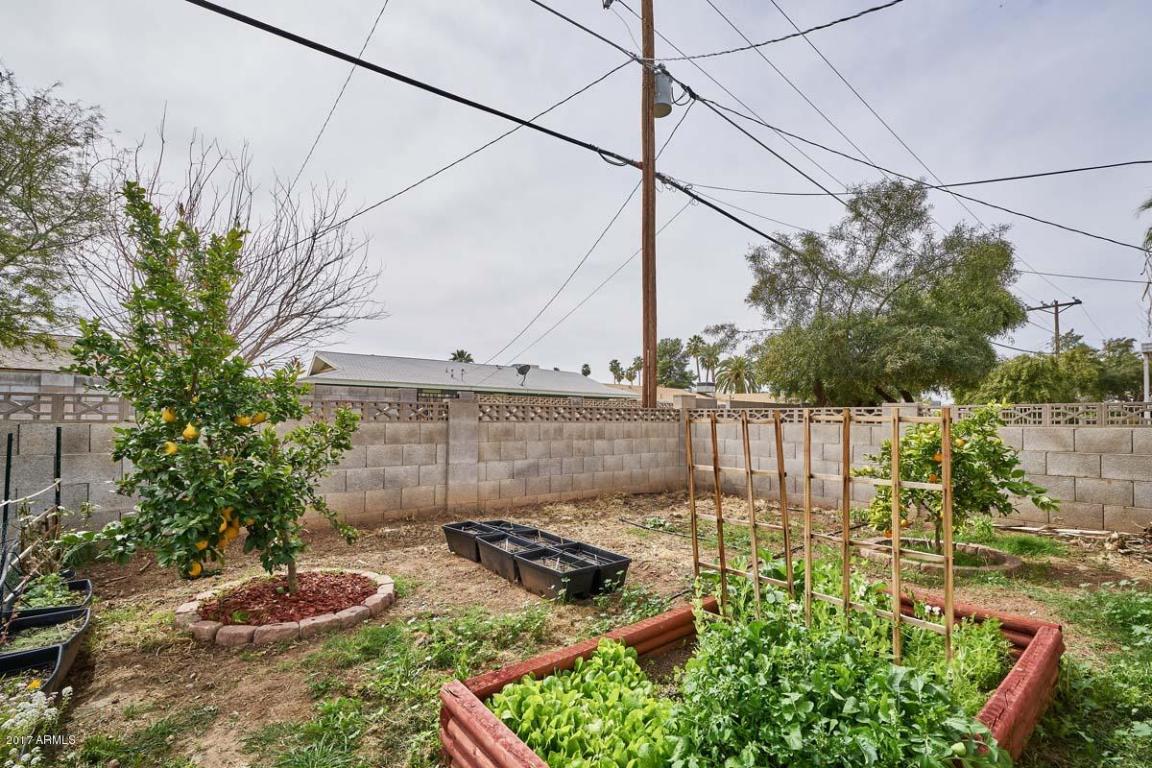 935 E Wesleyan Dr, Tempe, AZ 85282 photo 23