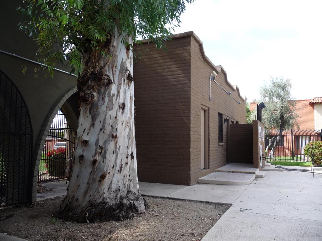 2927 E Fairmount Ave, Phoenix, AZ 85016 photo 29