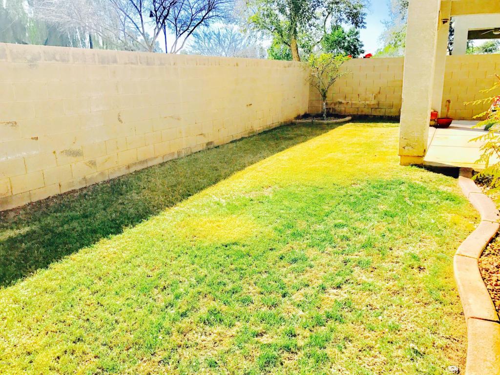 4149 E Betsy Ln, Gilbert, AZ 85296 photo 9