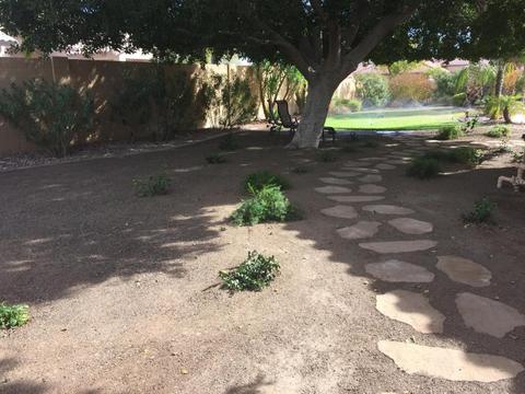 12635 S 35th Pl, Phoenix, AZ 85044 photo 49
