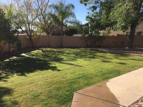 12635 S 35th Pl, Phoenix, AZ 85044 photo 41