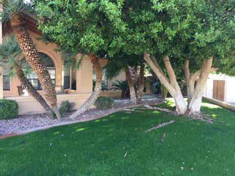 12635 S 35th Pl, Phoenix, AZ 85044 photo 4