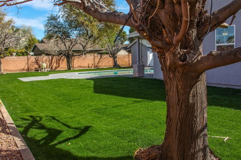 3706 E Coolidge St, Phoenix, AZ 85018 photo 42