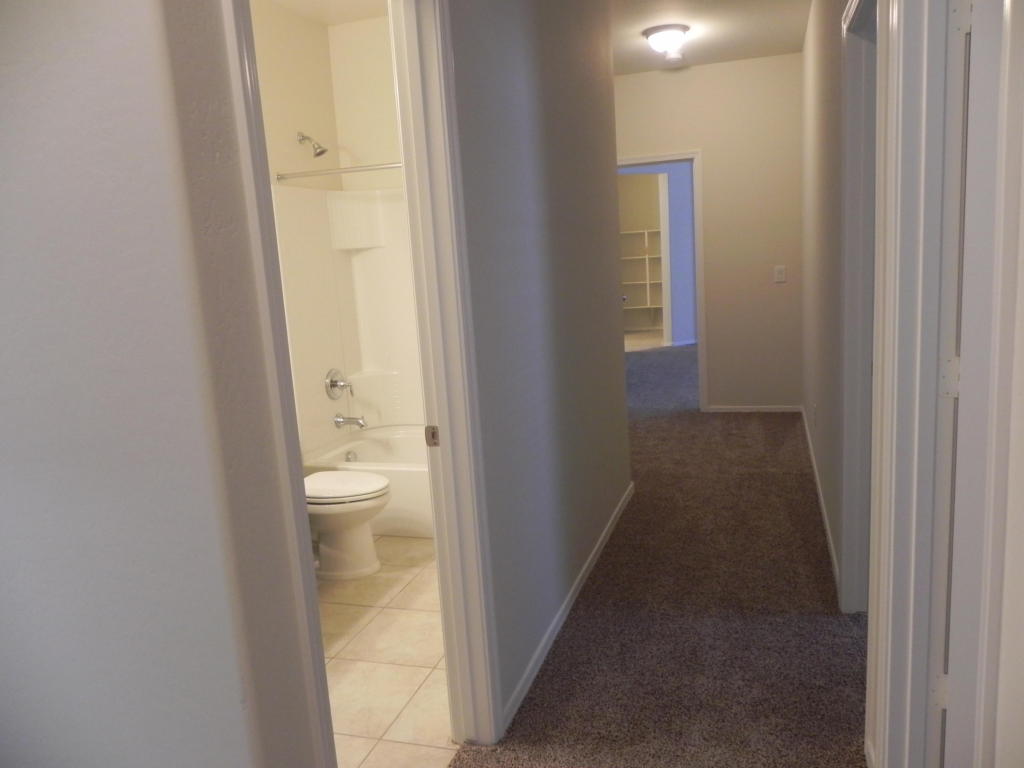 2829 W Hidalgo Ave, Phoenix, AZ 85041 photo 6