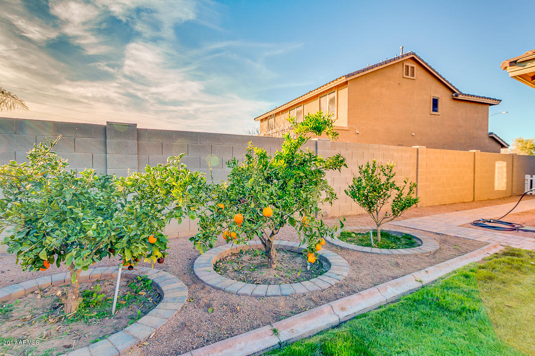 11457 E Starkey Ave, Mesa, AZ 85212 photo 41