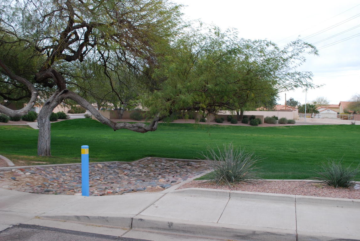 4337 E South Fork Dr, Phoenix, AZ 85044 photo 5