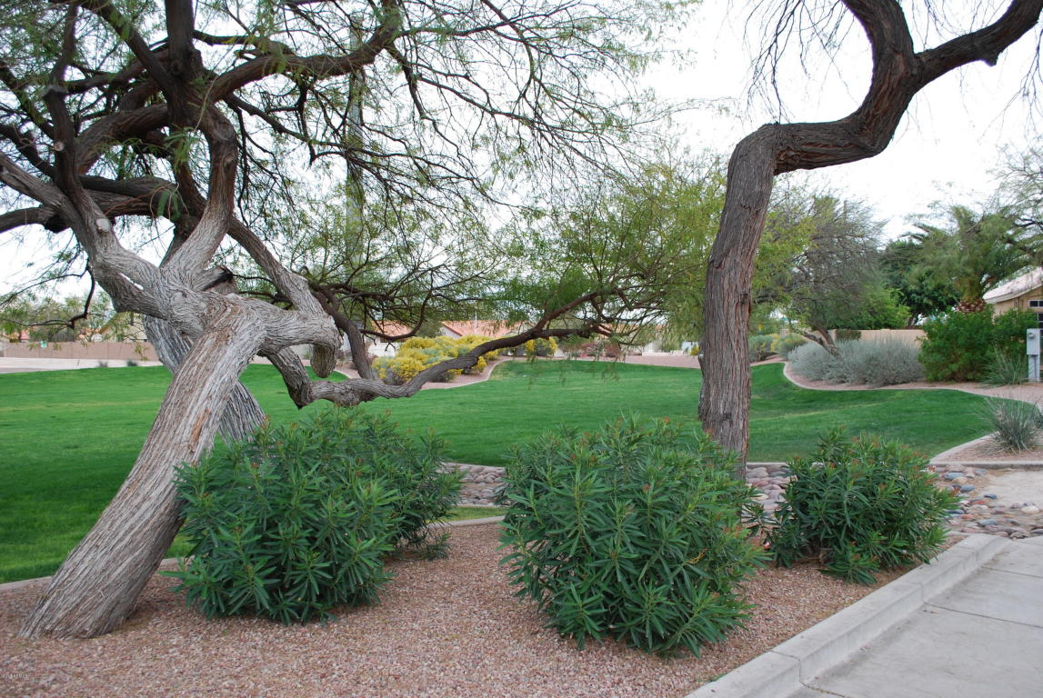 4337 E South Fork Dr, Phoenix, AZ 85044 photo 7
