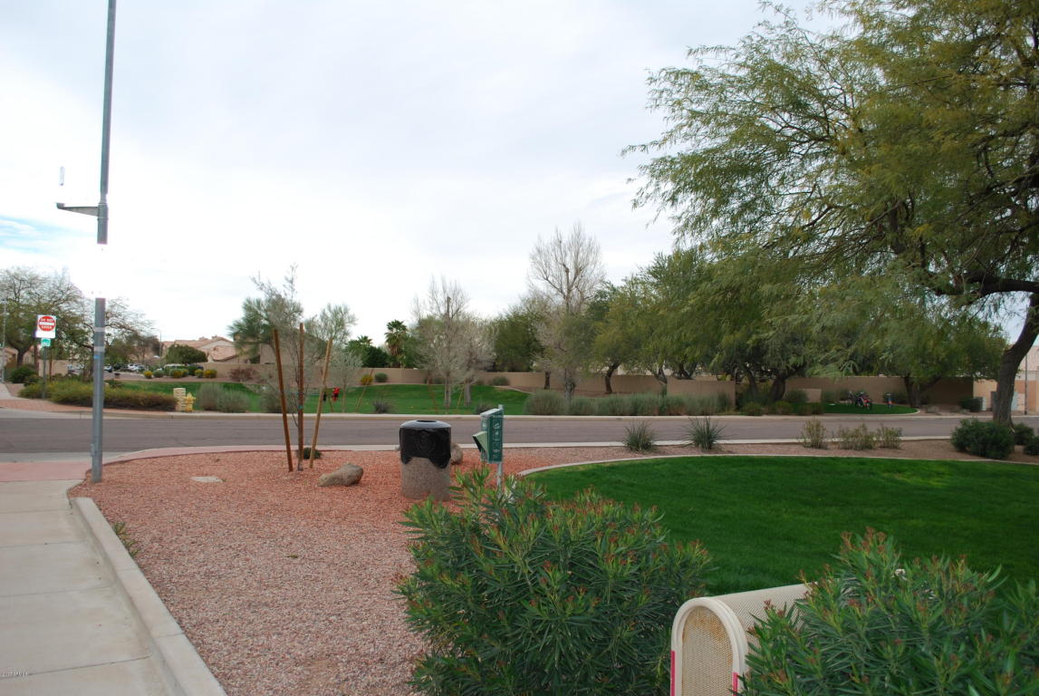 4337 E South Fork Dr, Phoenix, AZ 85044 photo 6