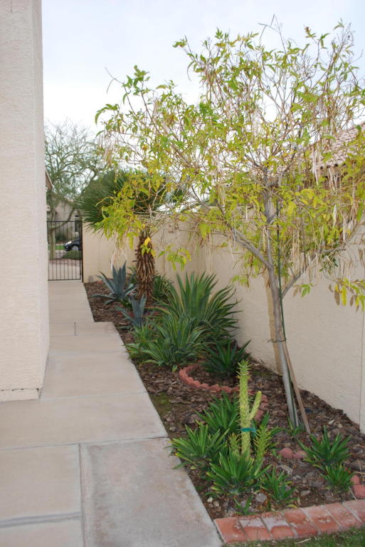4337 E South Fork Dr, Phoenix, AZ 85044 photo 44