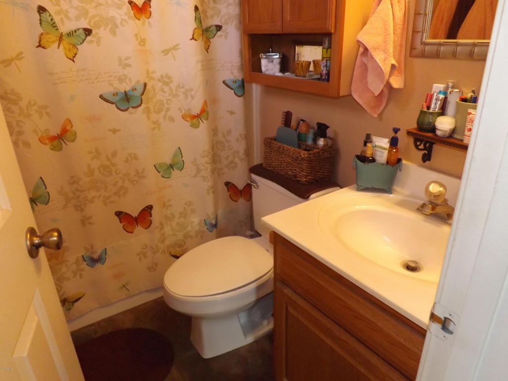 439 S San Marcos Dr, Apache Junction, AZ 85120 photo 5