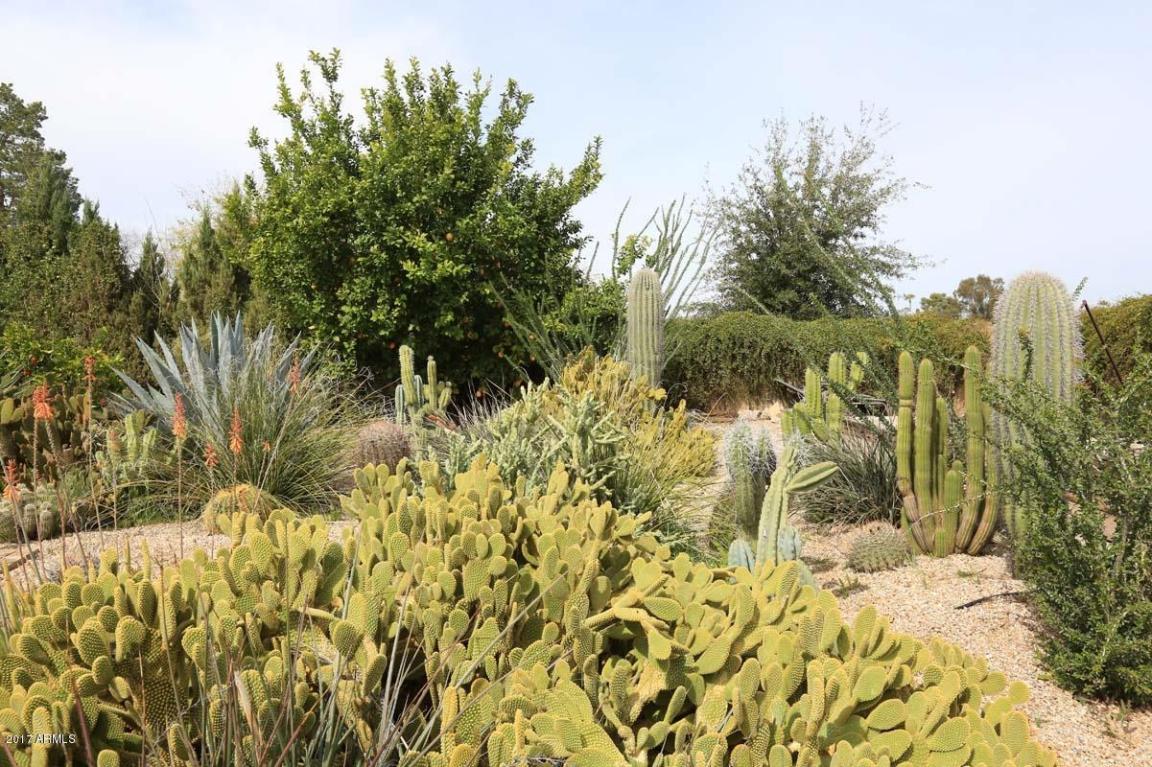 3838 E Bloomfield Rd, Phoenix, AZ 85032 photo 13