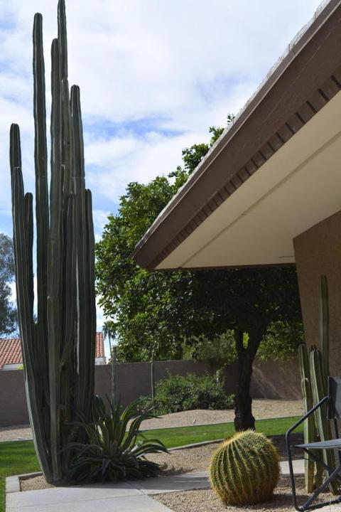 86 Biltmore Est, Phoenix, AZ 85016 photo 16