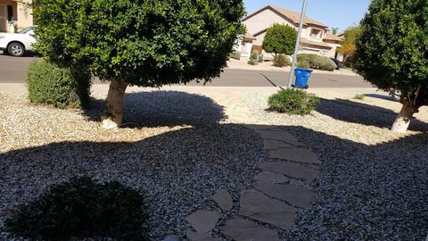 9517 E Jerome Ave, Mesa, AZ 85209 photo 40