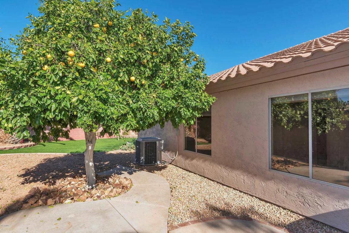 634 S Lanus Dr, Gilbert, AZ 85296 photo 29