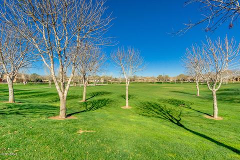 3921 S Angler Dr, Gilbert, AZ 85297 photo 45