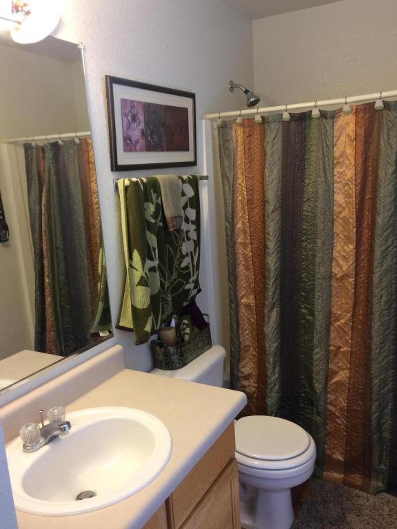 3239 S Bowman Rd, Apache Junction, AZ 85119 photo 18