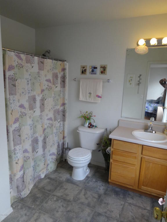 3239 S Bowman Rd, Apache Junction, AZ 85119 photo 14