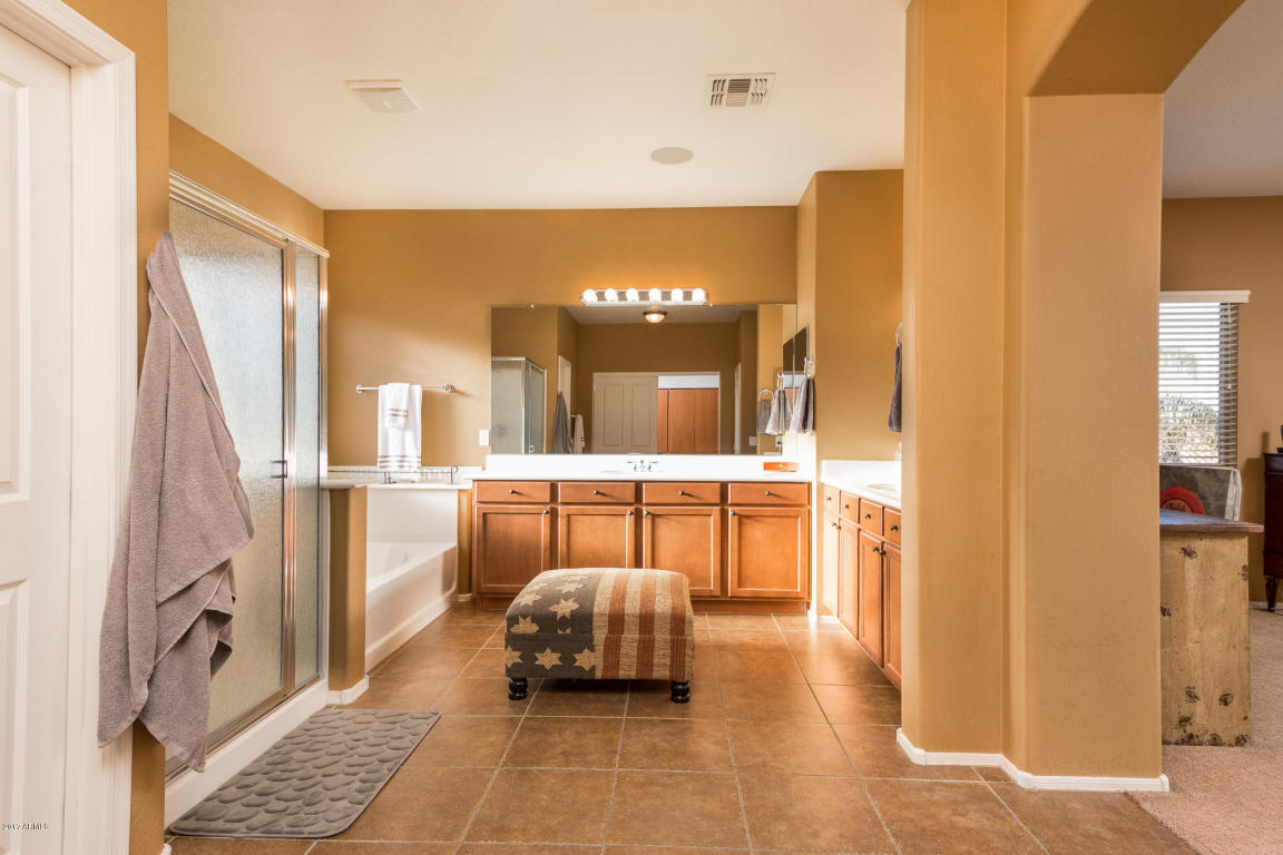 3020 E Lynx Way, Gilbert, AZ 85298 photo 20