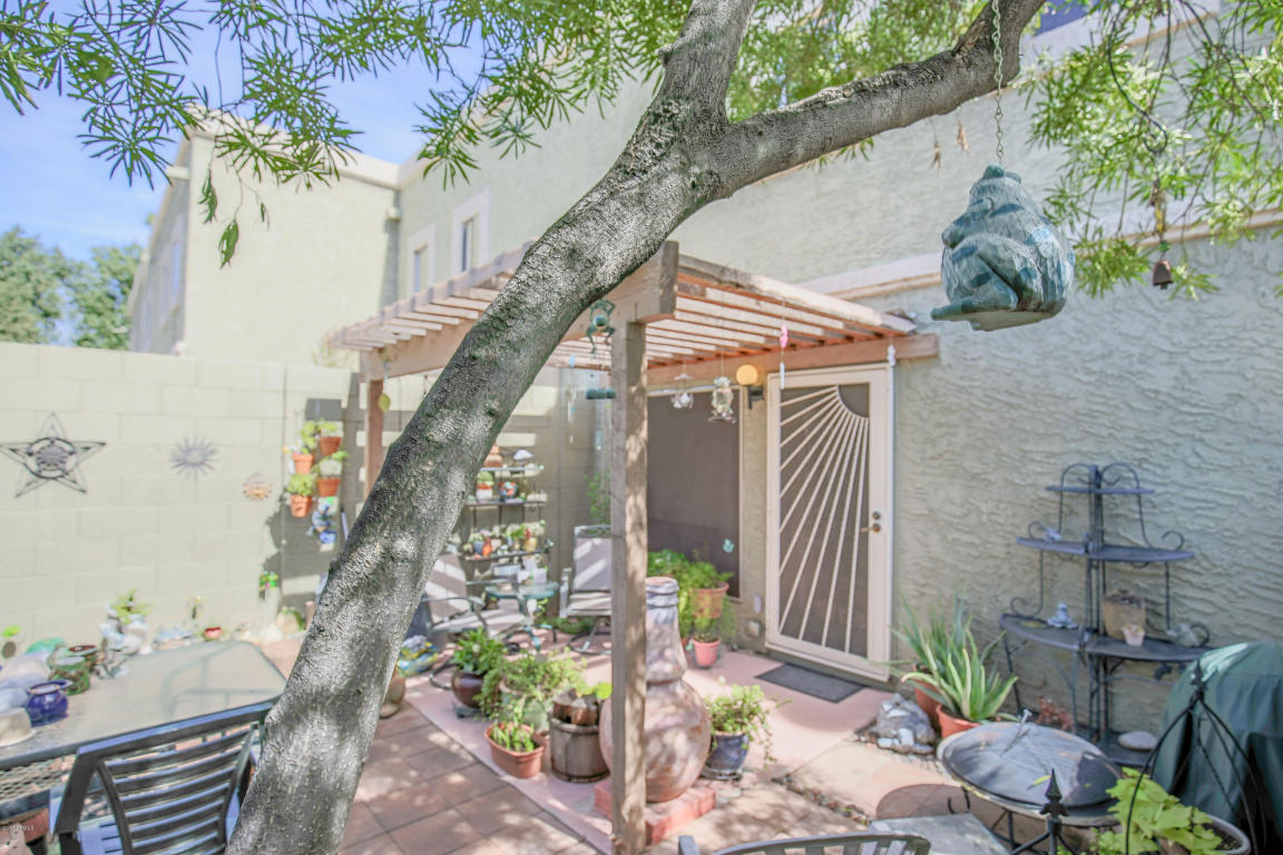 815 E Grovers Ave #5, Phoenix, AZ 85022 photo 24