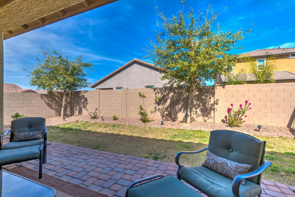 3506 E Alfalfa Dr, Gilbert, AZ 85298 photo 39