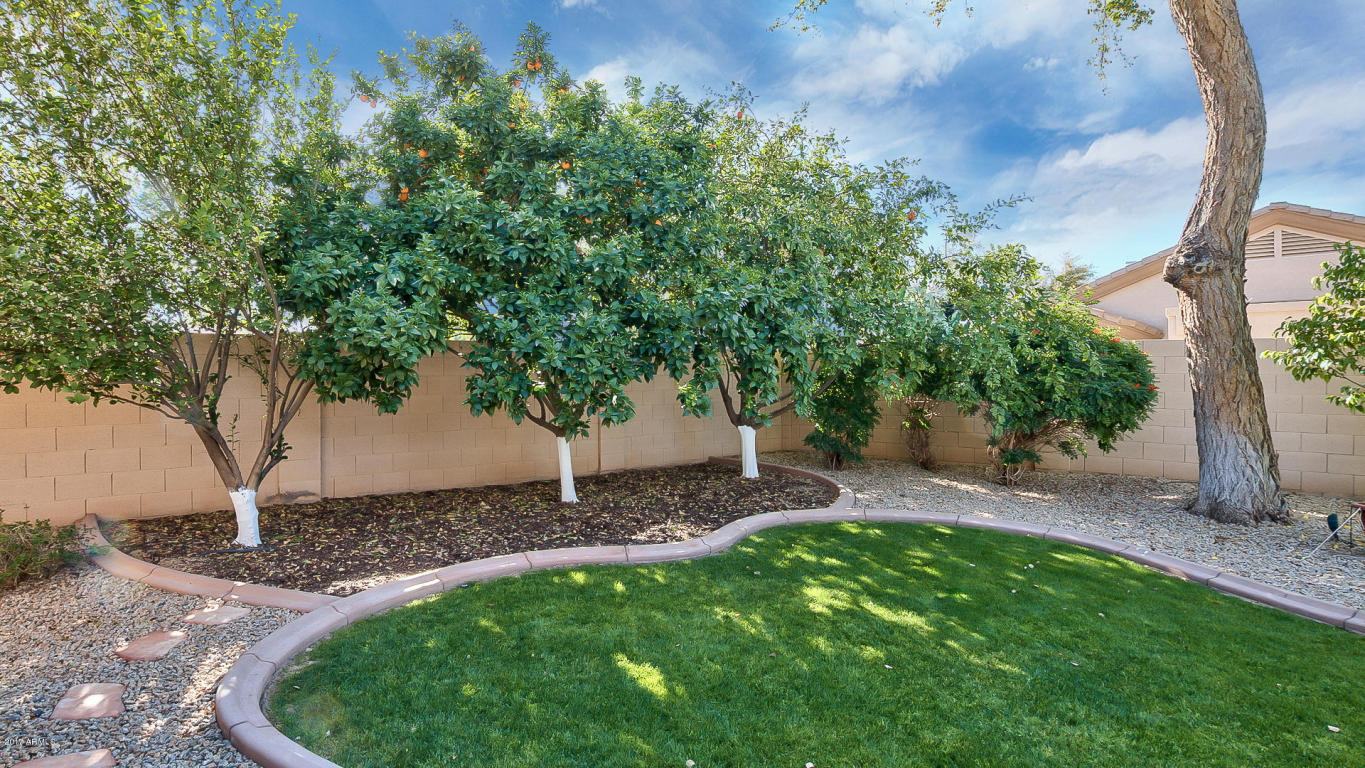 9861 E Lindner Ave, Mesa, AZ 85209 photo 39