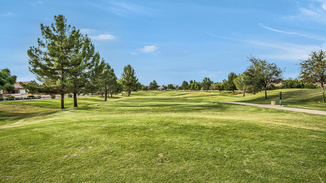 9861 E Lindner Ave, Mesa, AZ 85209 photo 44