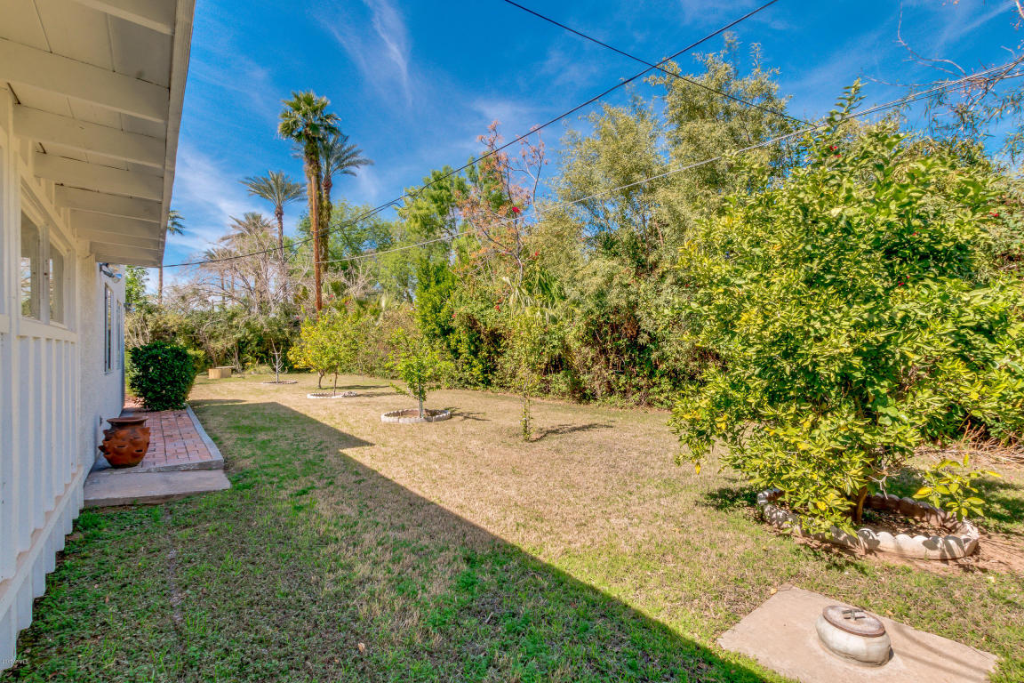 1502 E Tuckey Ln, Phoenix, AZ 85014 photo 44