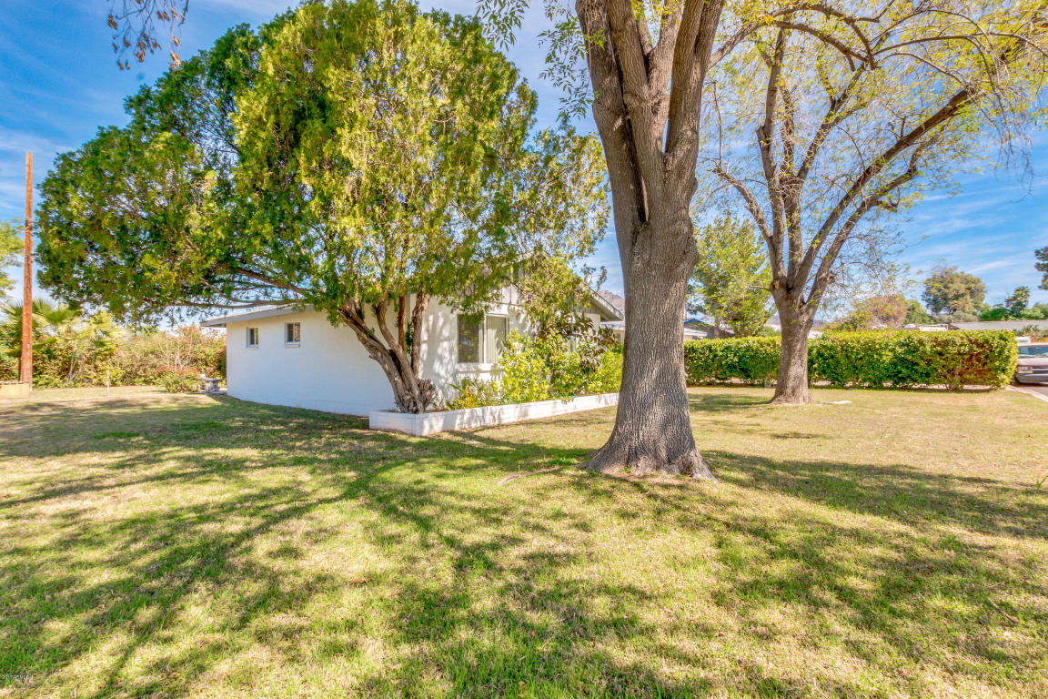 1502 E Tuckey Ln, Phoenix, AZ 85014 photo 3