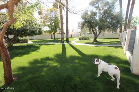 1018 W Solar Dr, Phoenix, AZ 85021 photo 39