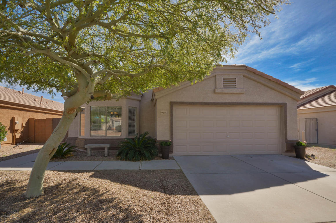9145 Encanto St, Mesa, AZ 85207 photo 3