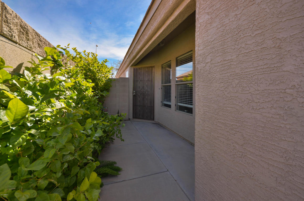 9145 Encanto St, Mesa, AZ 85207 photo 4
