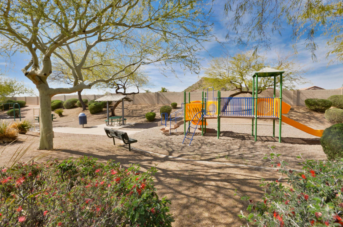 9145 Encanto St, Mesa, AZ 85207 photo 31