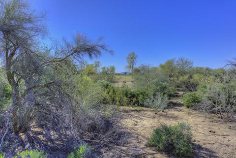 4379 E Lariat Ln, Phoenix, AZ 85050 photo 23