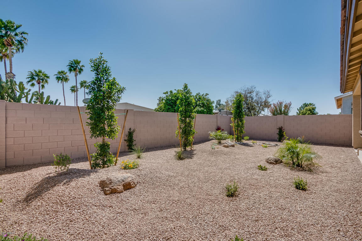 3645 E Aspen Ave, Mesa, AZ 85206 photo 40