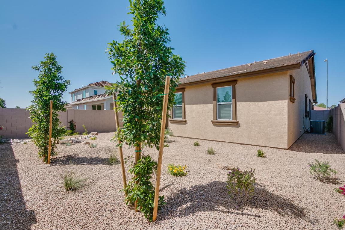 3645 E Aspen Ave, Mesa, AZ 85206 photo 39