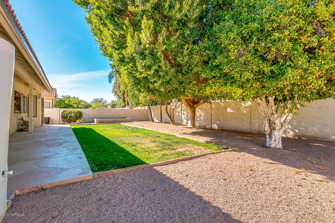 2156 E Laurel St, Mesa, AZ 85213 photo 31