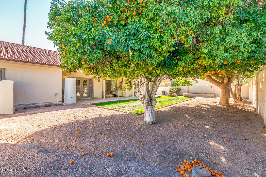 2156 E Laurel St, Mesa, AZ 85213 photo 26