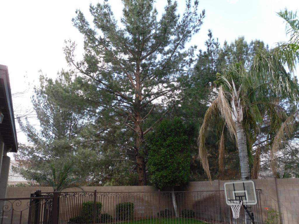 1664 E Washington Ct, Gilbert, AZ 85234 photo 44