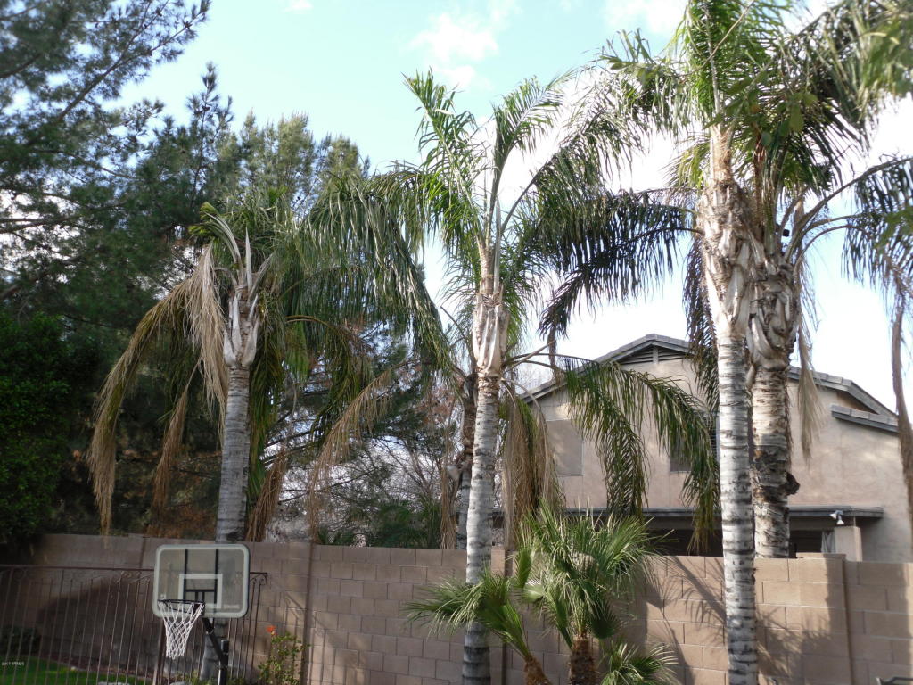 1664 E Washington Ct, Gilbert, AZ 85234 photo 43