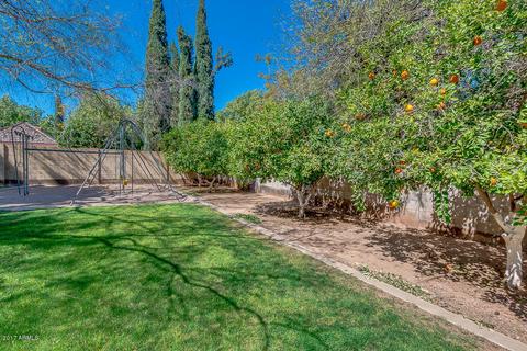 690 Encinas Ave, Gilbert, AZ 85234 photo 61