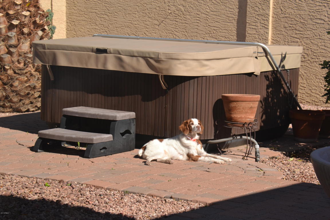 5505 E Mclellan Rd #94, Mesa, AZ 85205 photo 33