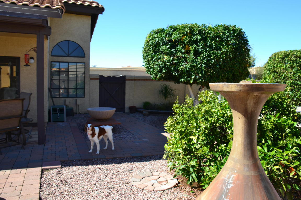 5505 E Mclellan Rd #94, Mesa, AZ 85205 photo 28
