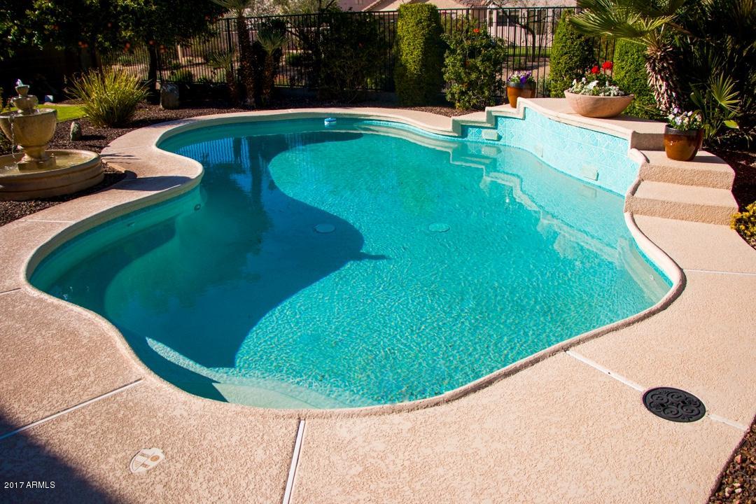 1130 E Potter Dr, Phoenix, AZ 85024 photo 18