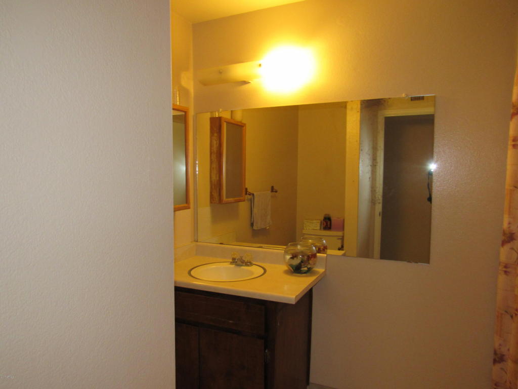 306 E 9th Dr, Mesa, AZ 85210 photo 11