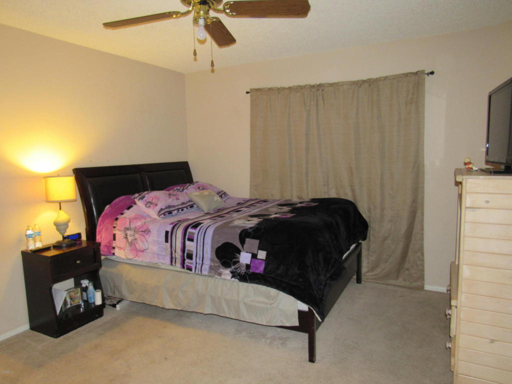 306 E 9th Dr, Mesa, AZ 85210 photo 18