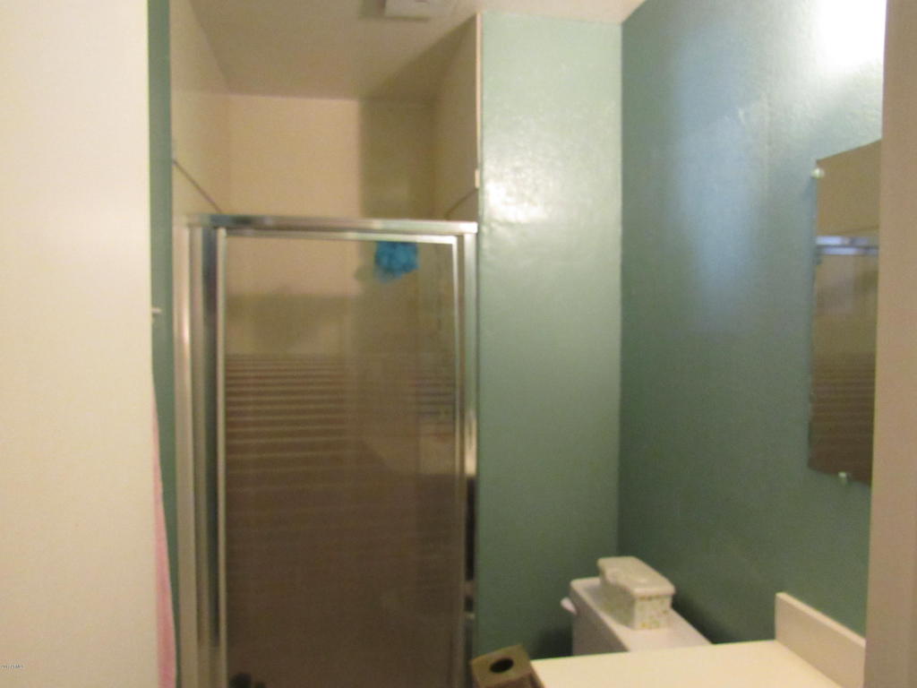 306 E 9th Dr, Mesa, AZ 85210 photo 20