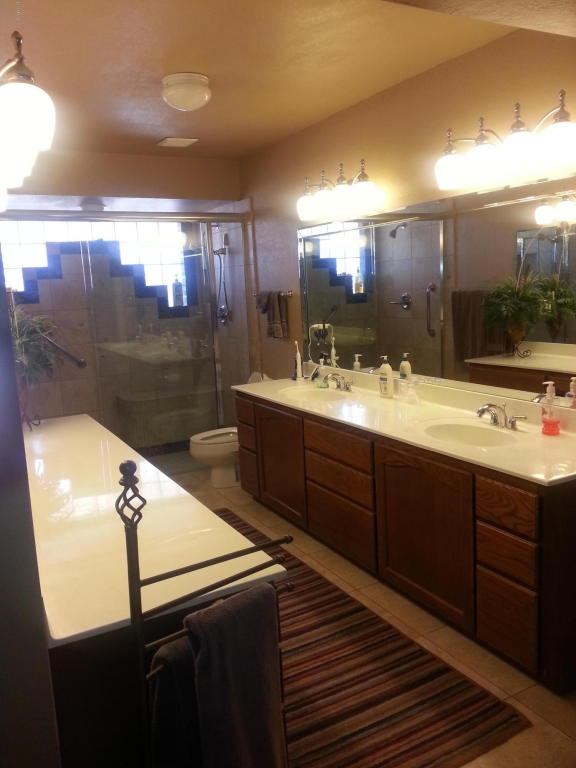 1755 E Huber St, Mesa, AZ 85203 photo 27