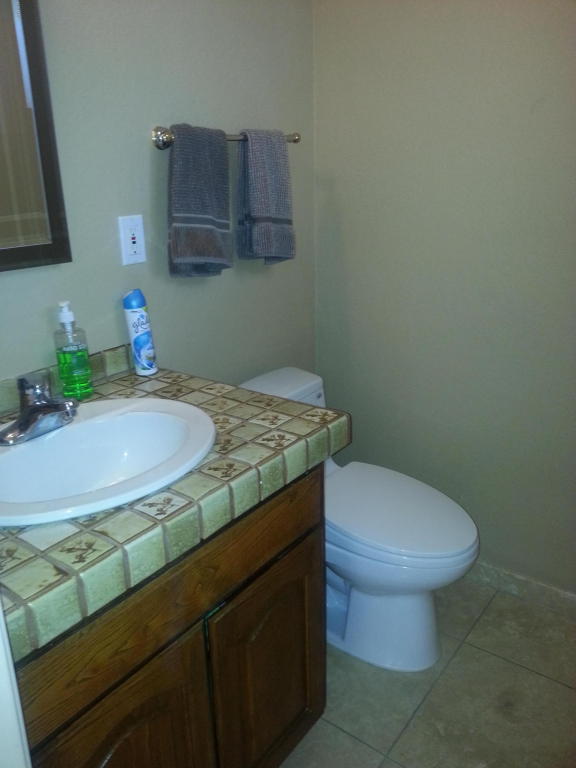 1755 E Huber St, Mesa, AZ 85203 photo 20